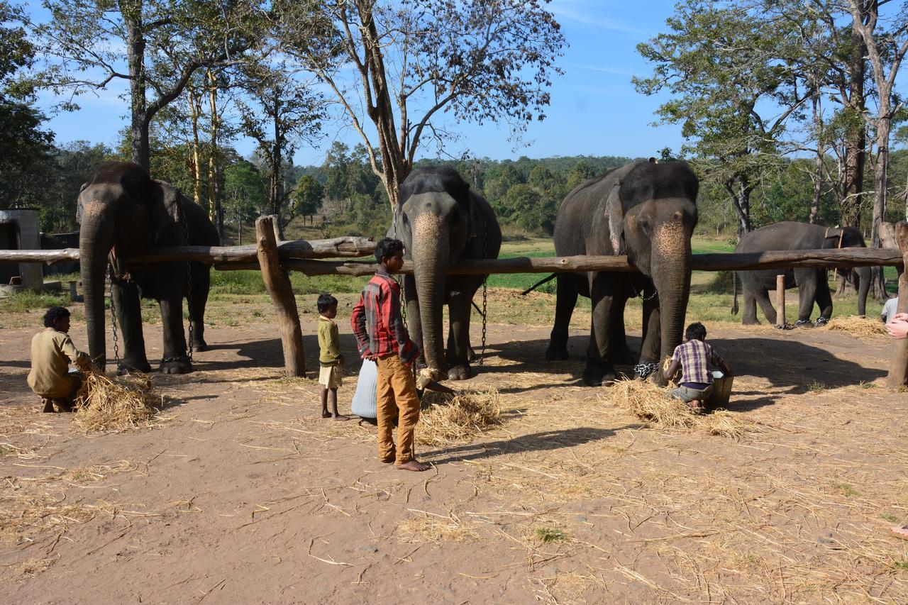 Red Earth Kabini Begur Экстерьер фото