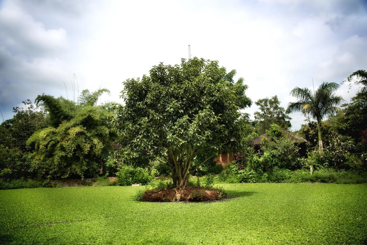Red Earth Kabini Begur Экстерьер фото